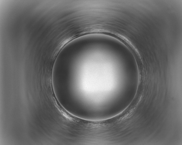 X0000059821289200510211137