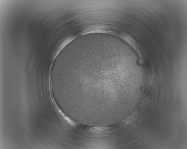 X0000059821290200510211137