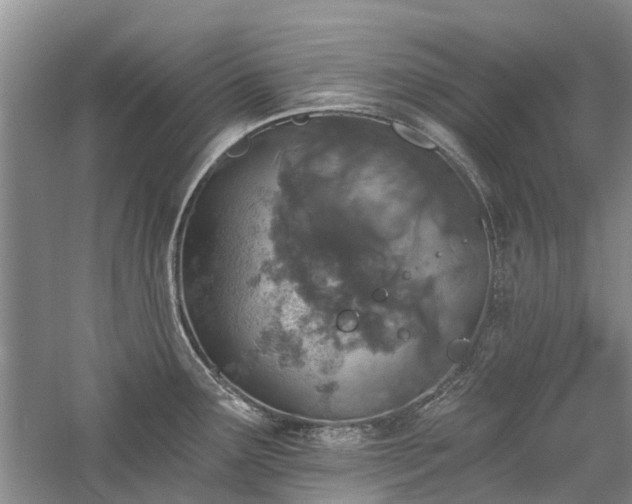 X0000059821291200510211137