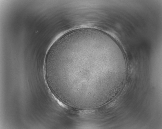 X0000059821294200510211137