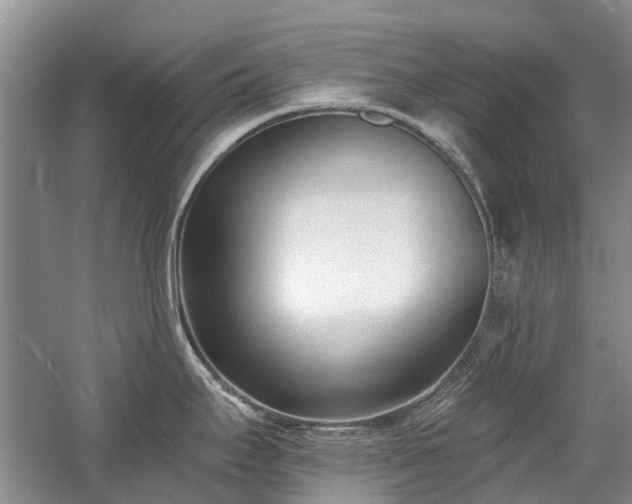 X0000059821295200510211137