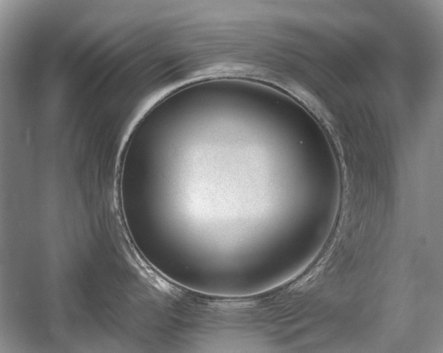 X0000059821296200510211137