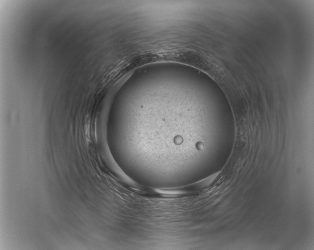 X0000059821298200510211136