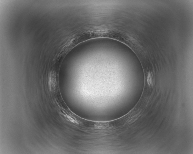 X0000059821299200510211136