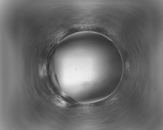 X0000059821300200510211136