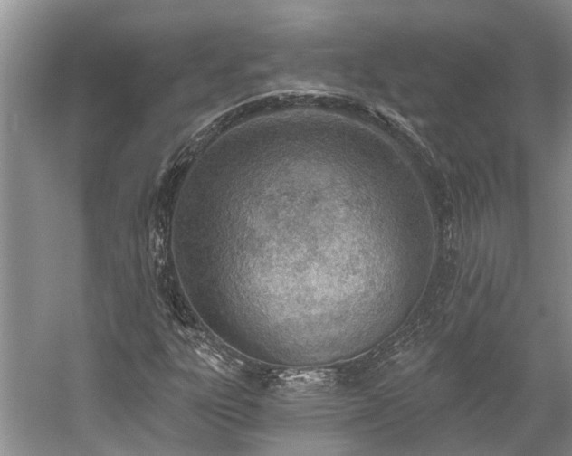 X0000059821303200510211136