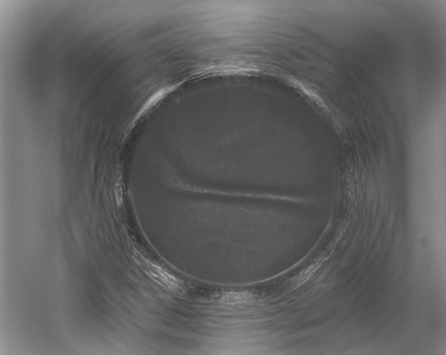 X0000059821306200510211136