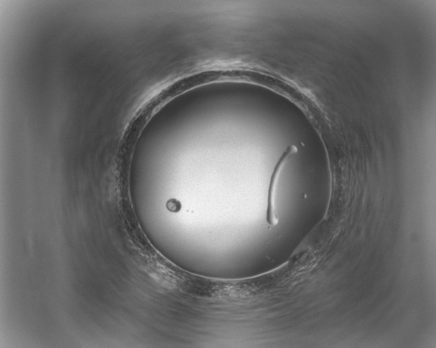 X0000059821311200510211136