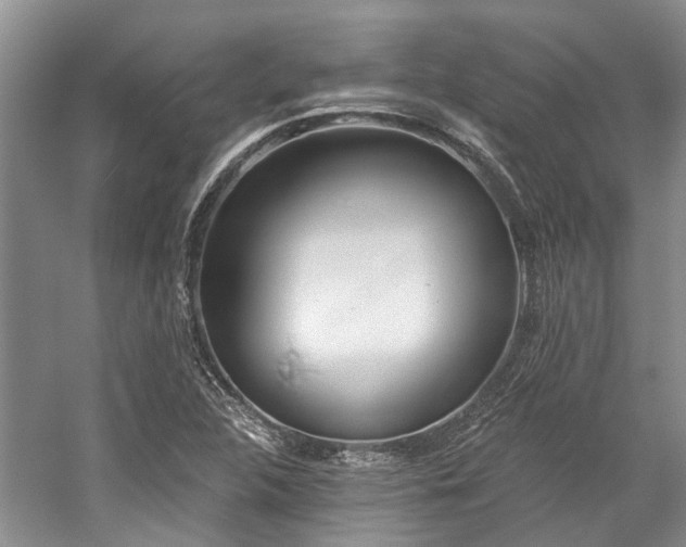 X0000059821312200510211136