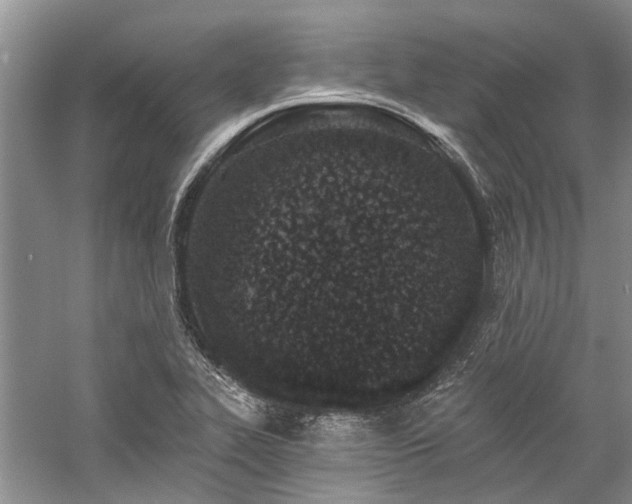 X0000059821319200510211136