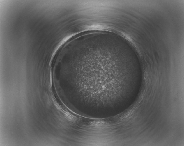 X0000059821323200510211136