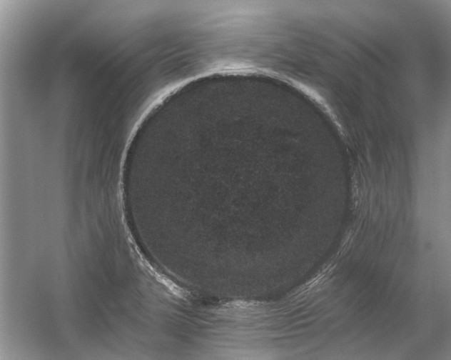 X0000059821327200510211136