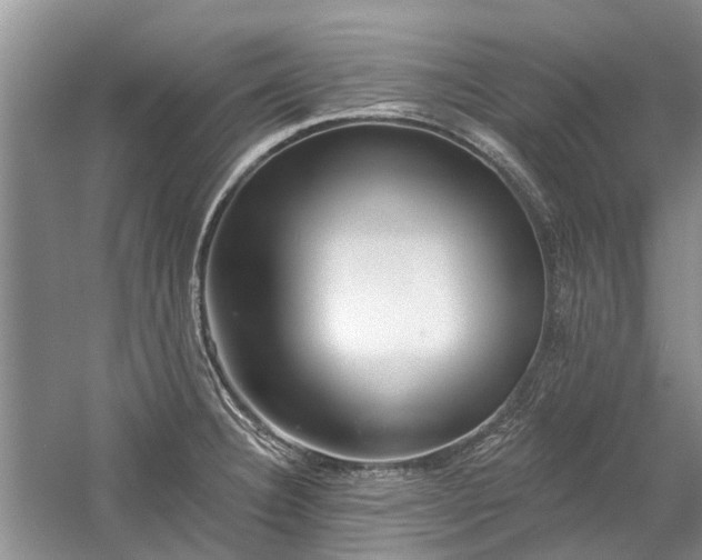 X0000059821332200510211136