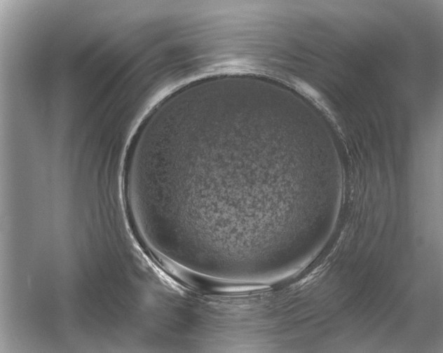 X0000059821334200510211136