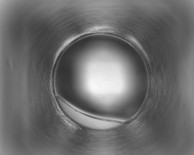 X0000059821336200510211137