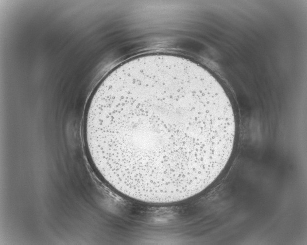 X0000059821338200510211137