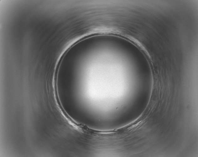 X0000059821343200510211137