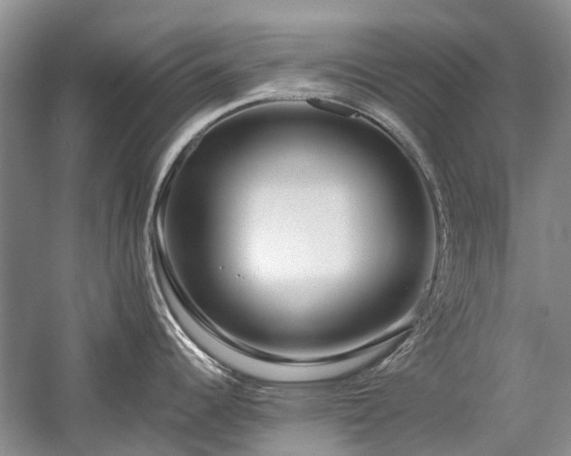 X0000059821344200510211137