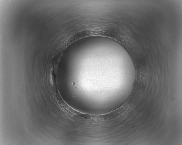 X0000059821346200510211136