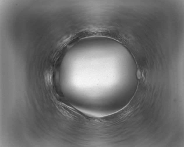 X0000059821348200510211136