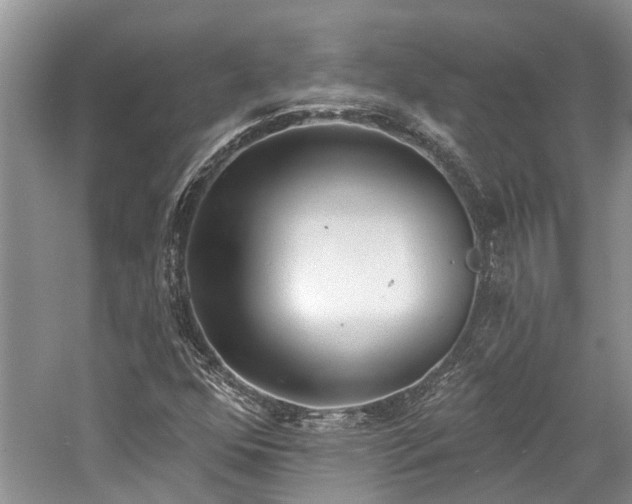 X0000059821352200510211136