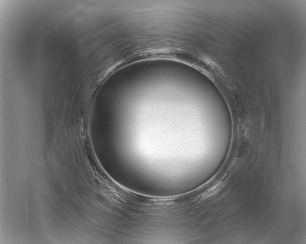 X0000059821353200510211136