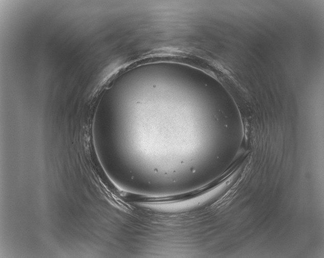 X0000059821355200510211136