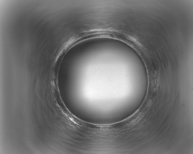 X0000059821357200510211136