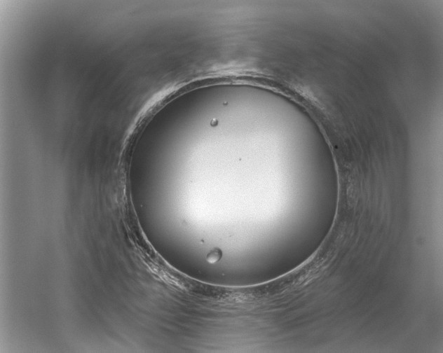 X0000059821358200510211136