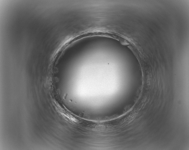 X0000059821359200510211136