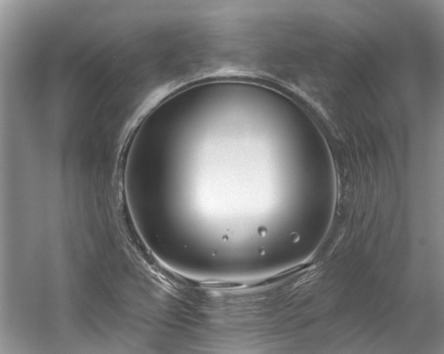 X0000059821367200510211135