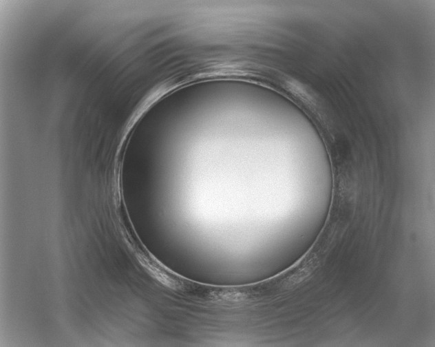 X0000059821370200510211135