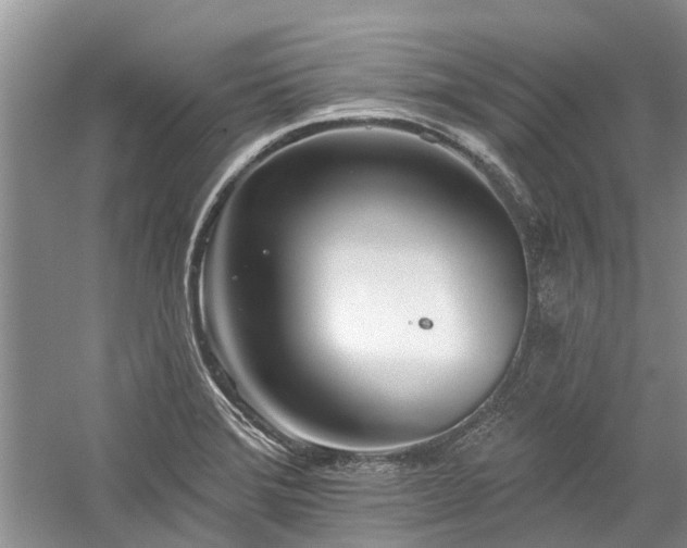 X0000059821372200510211135