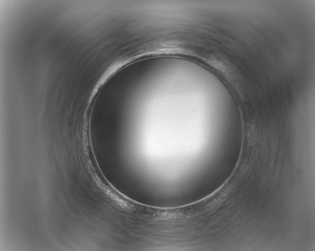 X0000059821374200510211135