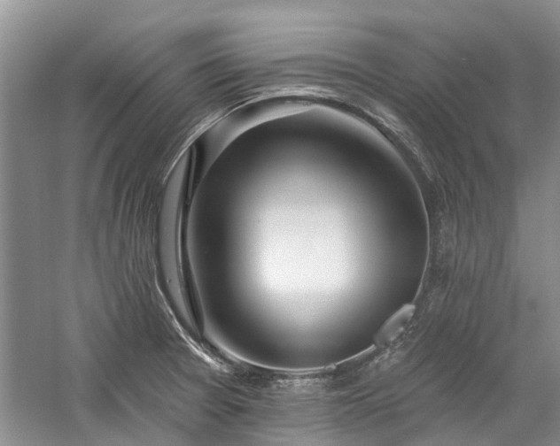 X0000059821377200510211135