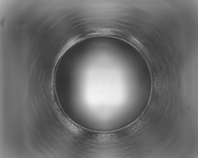 X0000059821378200510211135