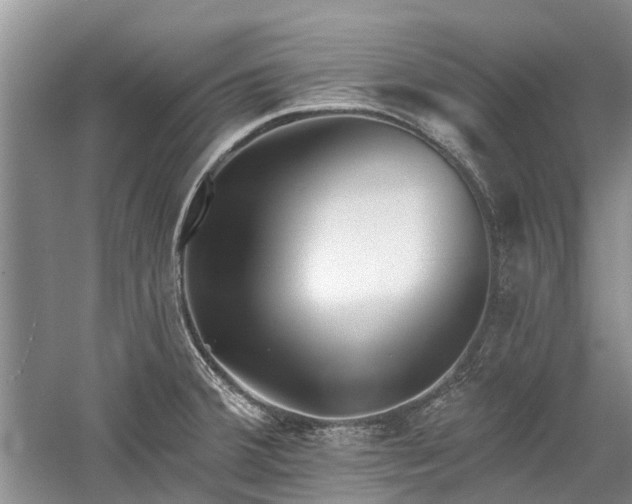 X0000059821380200510211135