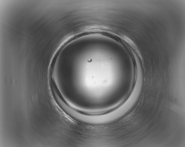 X0000059821384200510211135