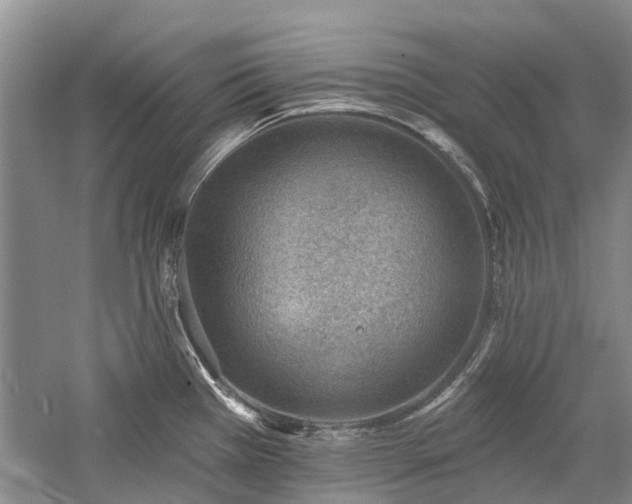 X0000059821385200510211135