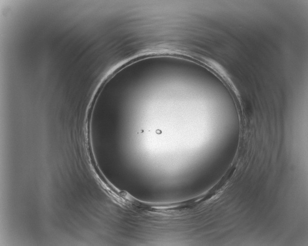 X0000059821388200510211135