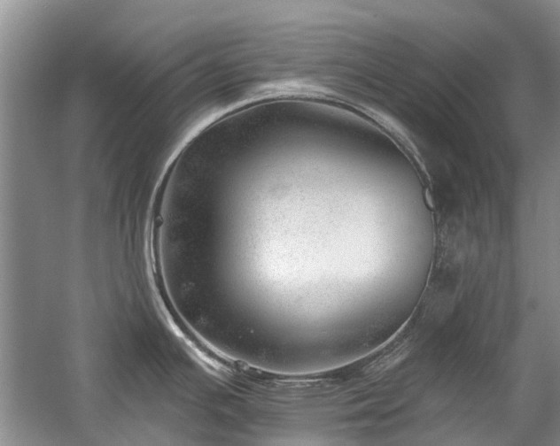 X0000059821391200510211135