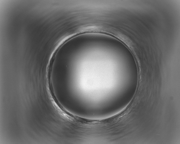 X0000059821392200510211135