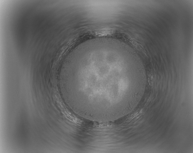 X0000059821393200510211134