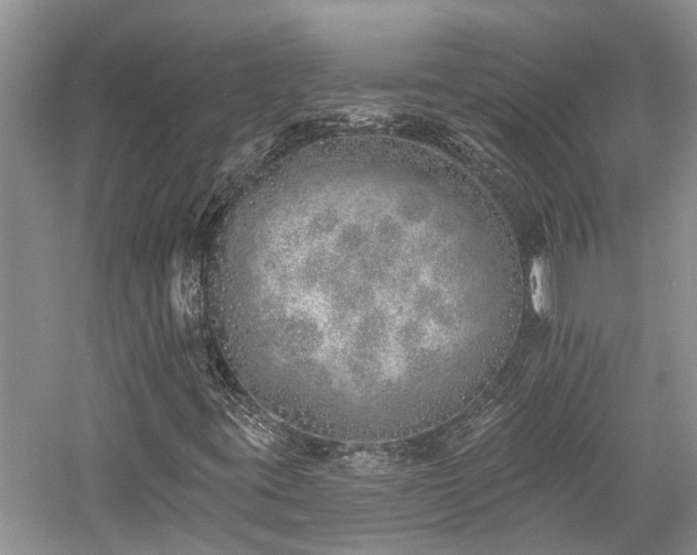 X0000059821395200510211134