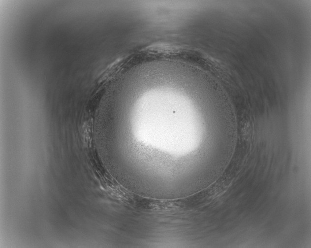 X0000059821397200510211134