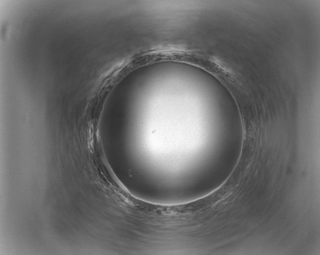 X0000059821398200510211134