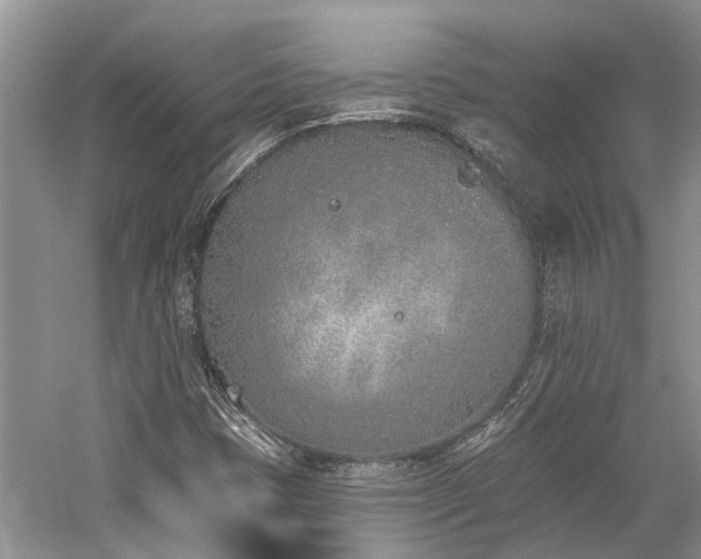 X0000059821401200510211134