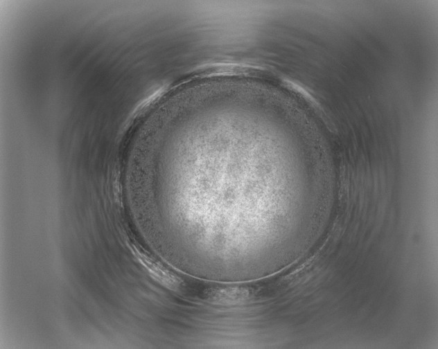 X0000059821403200510211134