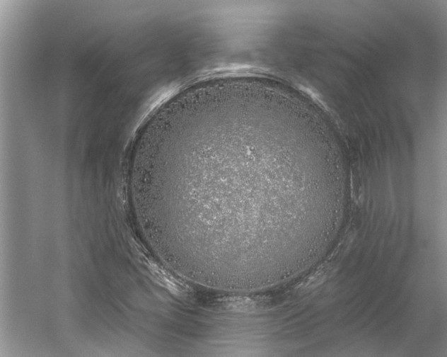 X0000059821405200510211134