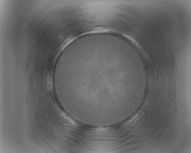 X0000059821409200510211135